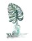 Island Tropics Frond in Bottle II Poster Print by Tre Sorelle Studios - Item # VARPDXRB12888TS